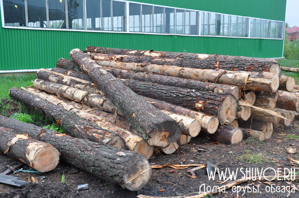 timber-dry-1m